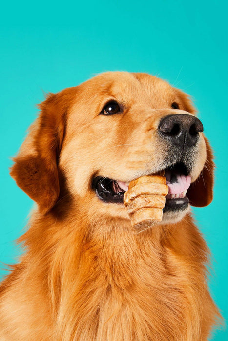 Project Hive Dental Dog Chews for Dogs