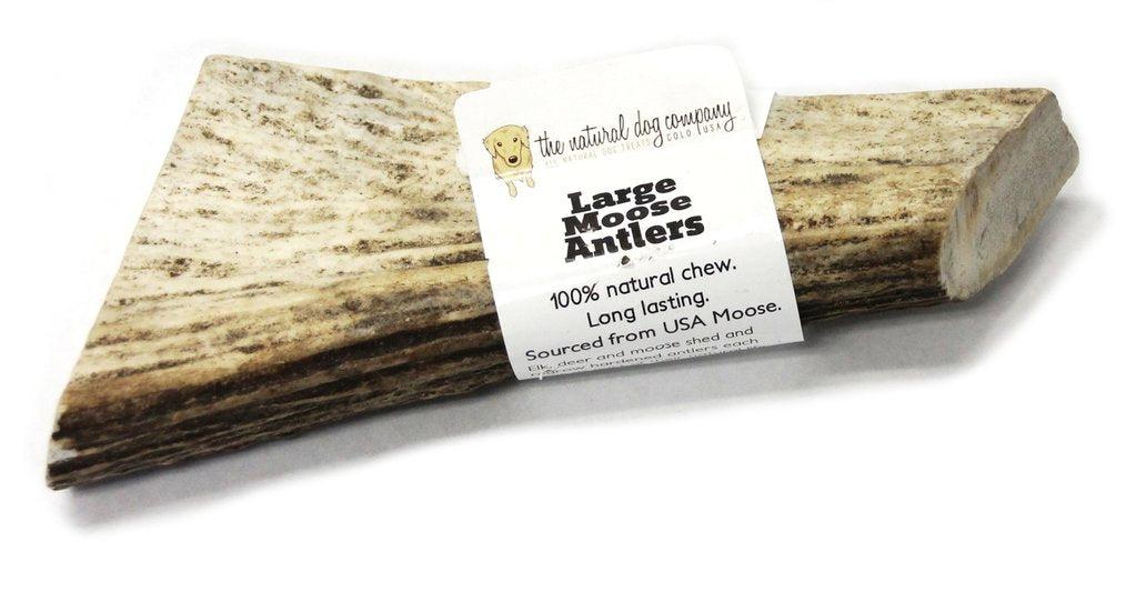 Natural Dog Co. Moose Antler, Large