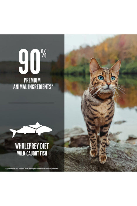 Orijen Six Fish Dry Cat Food  90% Animal Ingredients