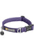 Ruffwear Front Range Purple Sage Dog Collar