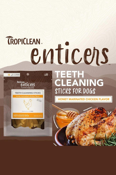 TropiClean Enticers Honey Marinated Chicken Dog Dental Sticks