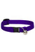 LupinePet Basics Purple Cat Safety Collar with Bell