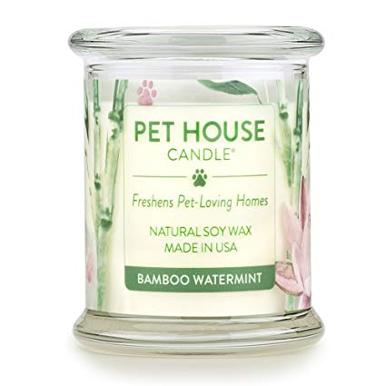 Pet House Candle, Bamboo Watermint