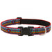 LupinePet El Paso Dog Collar, 12"-20"