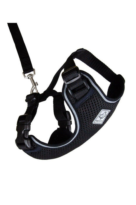 RC Pets Adventure Black Kitty Harness