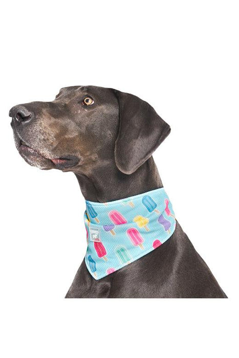 Canada Pooch Chill Seeker Popsicles Cooling Bandana