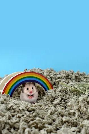 Carefresh Natural Small Pet Bedding, 50 L