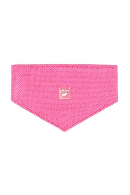 Canada Pooch Chill Seeker Neon Pink Cooling Bandana