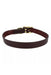 Circle T Latigo Leather Town Dog Collar with Brass Hardware