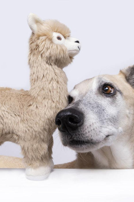 Fluff and Tuff Inca Alpaca Dog Toy