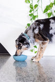 FuzzYard Life Silicone French Blue Dog Bowl