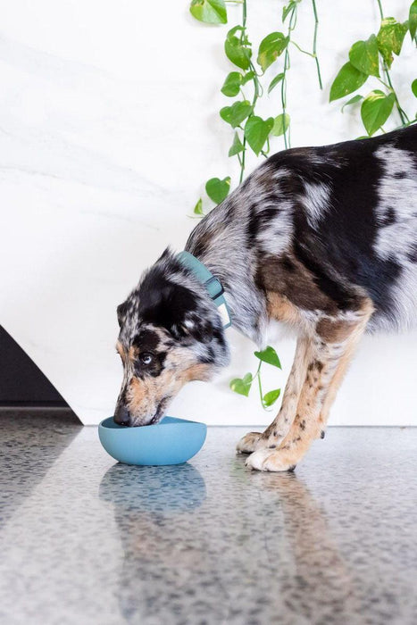 FuzzYard Life Silicone French Blue Dog Bowl