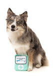 FuzzYard Retro iPawd Dog Toy
