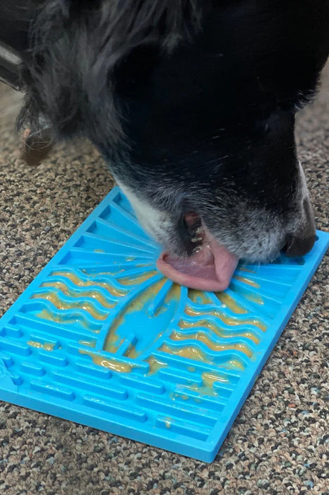 SodaPup Surf Blue Lickmat