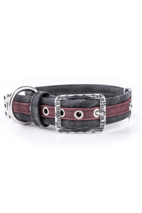My Family London Purple & Black Leatherette Dog Collar