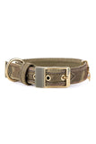 My Family West Point Military Green Dog Collar