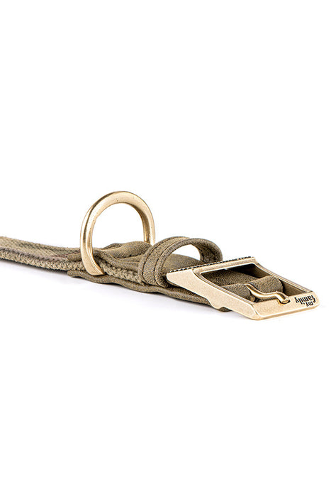 My Family West Point Military Green Dog Collar