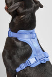 Wild One Moonstone Dog Harness