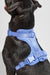 Wild One Moonstone Dog Harness