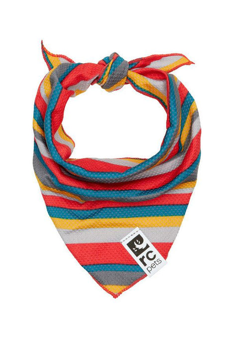 RC Pets Zephyr Cooling Bandana Multi Stripes Dog Apparel