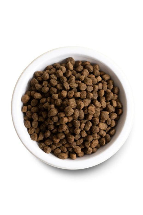 Open Farm Grass-Fed Beef and Ancient Grains Dry Dog Food Kibble