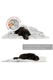 Best Friends Shag Frost Pet Blanket