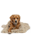 Best Friends Shag Taupe Pet Blanket