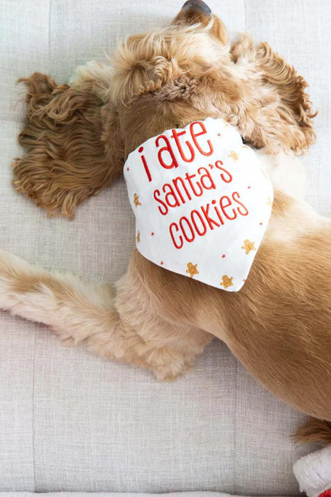 Pearhead I Ate Santa's Cookies Pet Bandana