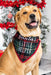 Pearhead Santa's Little Helper Pet Bandana