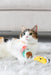Pearhead Taco Time Cat Toy Set