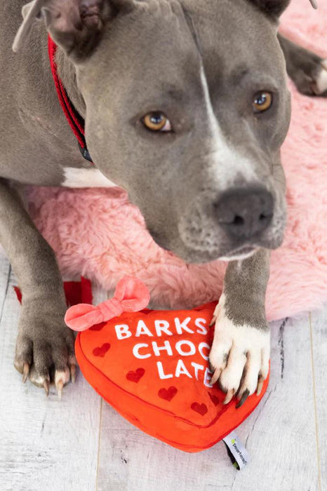Pearhead Barks of Chocolate Dog Toy