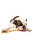 QT Dog Collagen Dog Chew