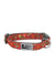 RC Pets Clay Floral Dog Clip Collar