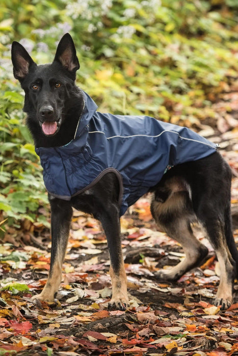 GF Pet Reversible Navy with Plaid Dog Raincoat