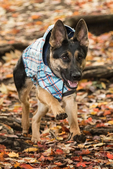 GF Pet Reversible Navy with Plaid Dog Raincoat