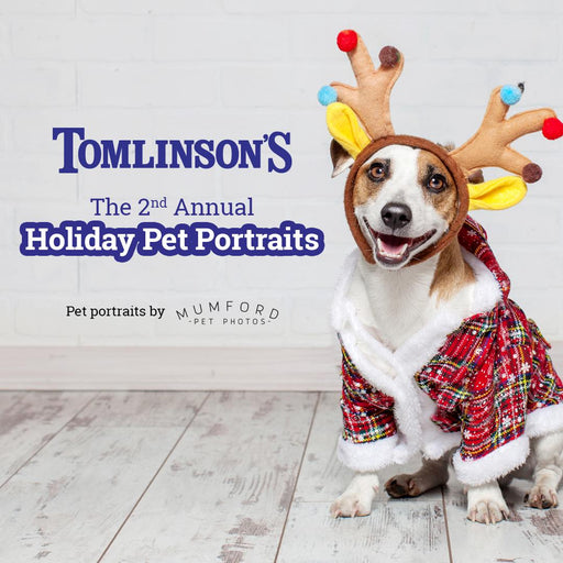 Holiday Pet Portraits