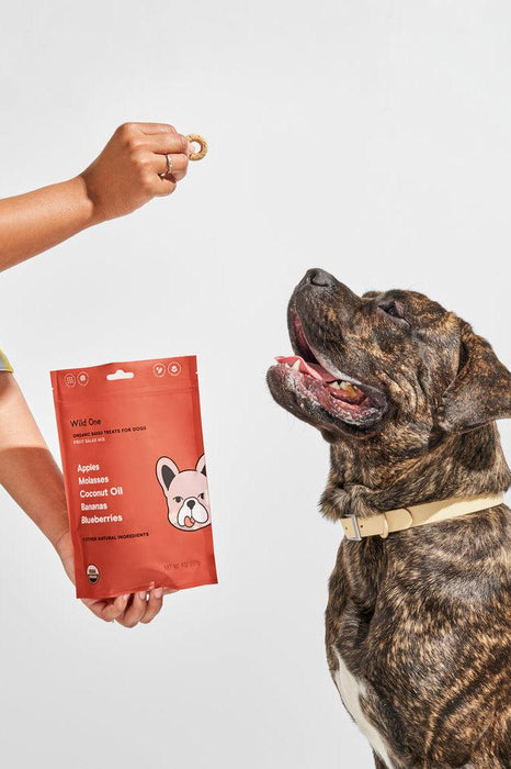 Dog Eating Wild One Organic Fruit Salad Biscuits