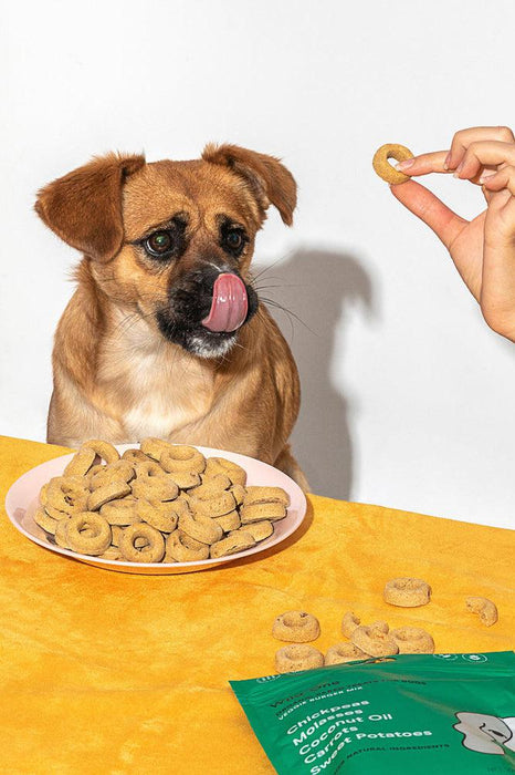 Dog Eating Wild One Organic Veggie Burger Biscuits