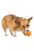 West Paw Zogoflex Toppl Tangerine Dog Toy