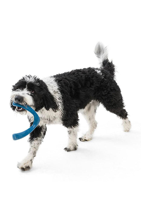 West Paw Seaflex Snorkl Surf Blue Dog Toy