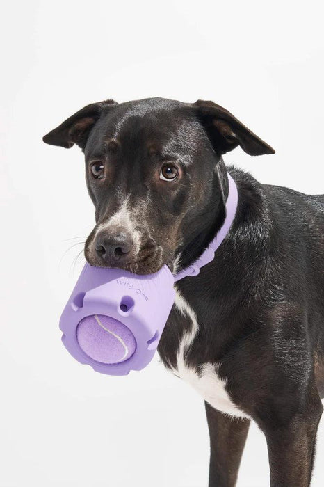 Wild One Tennis Tumble Lilac Dog Toy