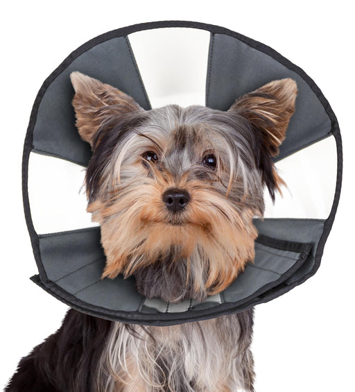 ZenPet Zen Cone For Dogs