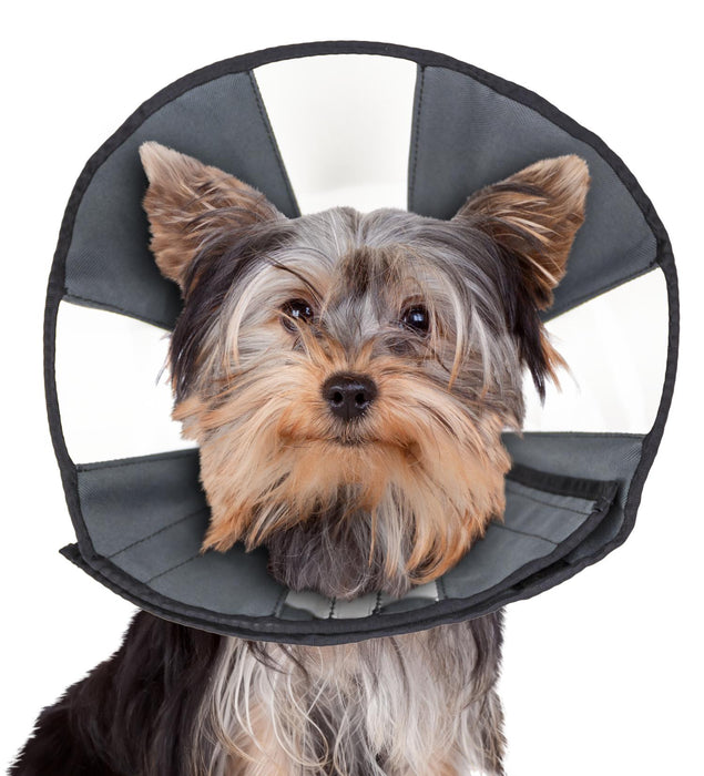 ZenPet Zen Cone For Dogs