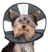 ZenPet Zen Cone For Dogs