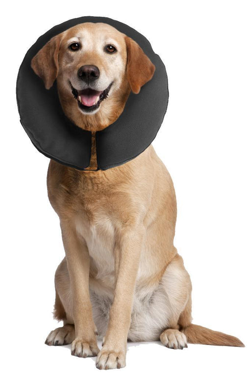 ZenPet Zen Collar For Dogs