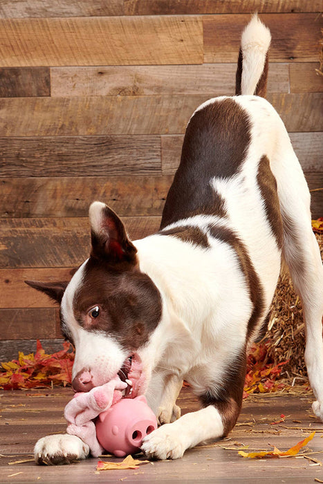 BARK Super Chewer Hambone Pig Hog Rubber Dog Toy