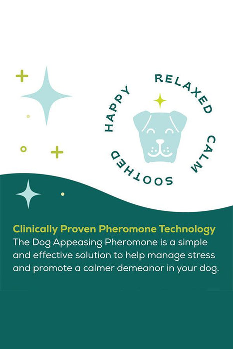 bSerene Calming Pheromone Diffuser Starter Kit for Dogs