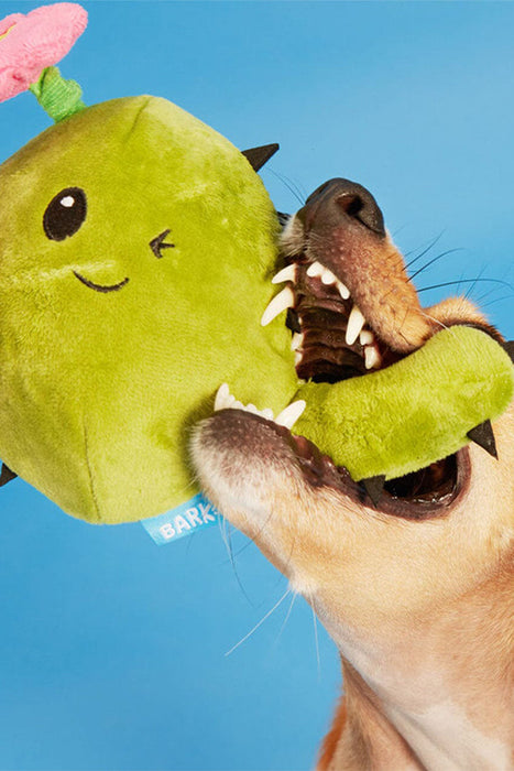 Bark Consuela the Hoppy Cactus Dog Toy