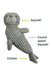 Tall Tails Crunch Seal Dog Toy