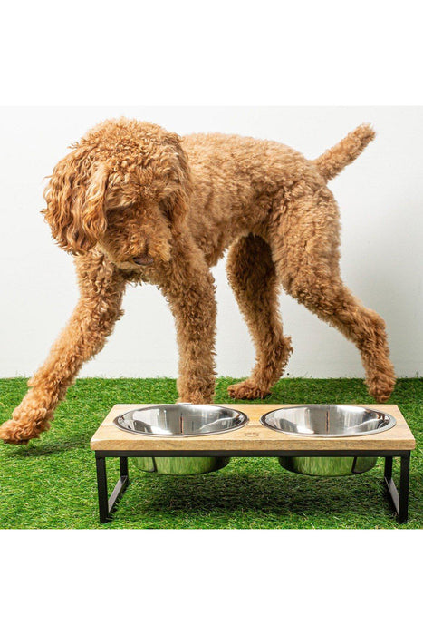 GF Pet Wood and Metal Raised Double Diner